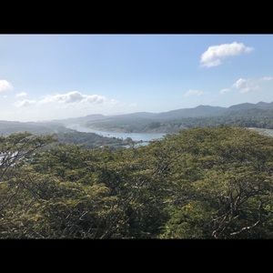 Meet your Posher, Leigh